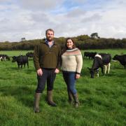 Will and Sophie McFarland milk a herd of 420 Friesian-crosses. Picture: Debbie James