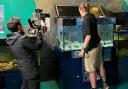 ITV's Coast and Country was filming at Sea mor Aquarium on Goodwick Parrog.