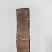 Standing Form by Carole Hodgson, who will be exhibiting at Cardigan's Canfas Gallery