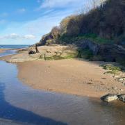 Aberporth was one of four designated bathing water areas in the region to not make the 'excellent' standards in 2023