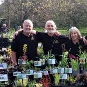 The Gentle Plantsmen will be amongst the jolly stallholders at The Big Plant Sale.