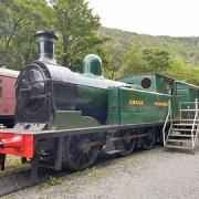 The accident took place at the Gwili Railway