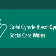 A social worker from Ceredigion has been struck off by a Social Care Wales Fitness to Practise panel.
