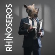 Rhinoseros will be at Mwldan for one night only