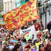 Hundreds joined in Cardigan St David's Day parade