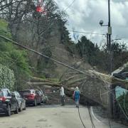 A tree fell on the A475 yesterday near Bridge Street in Newcastle Emlyn, crushing a car and forcing the road to be closed for several hours
