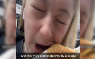Lily Fiveash and the seagull bite into her pasty.