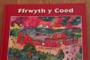 Ffrwyth y Coed, Hanes Addysg yn ardal Coedybryn 1738-2016