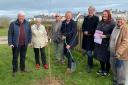 Ben Lake MP joins members of staff from National Trust Cymru to plant a blossom tree at Aberporth community garden.