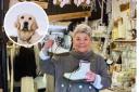 Karen is pictured in her Aberaeron shop, where she is welcoming donations of Dr Martens to raise funds for Guide Dogs Cymru.