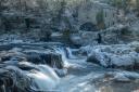 Cenarth Falls. Picture: Philip Wilson