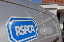 The RSPCA will continue to rescue animals during the lockdown