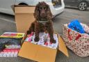 A sniffer dog used agencies to uncover illegal tobacco across Wales.