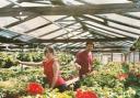 What started small has now grown into the treasured, large scale Garden Centre it is today.