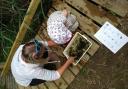 The Teifi Marshes Nature Reserve and Welsh Wildlife Centre are planning a host of exciting activities for the upcoming school holidays.