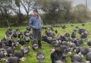 David from Postance Poultry, one of only 30 turkey farms in the UK, and the only farm in Wales