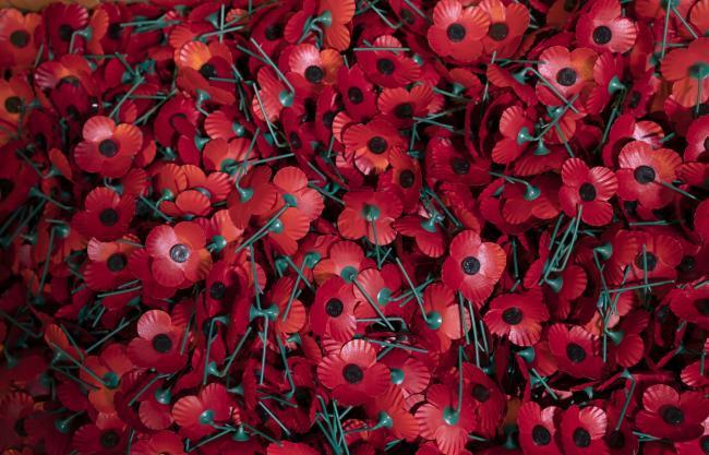 Poppies are a symbol of remembrance. (PA)