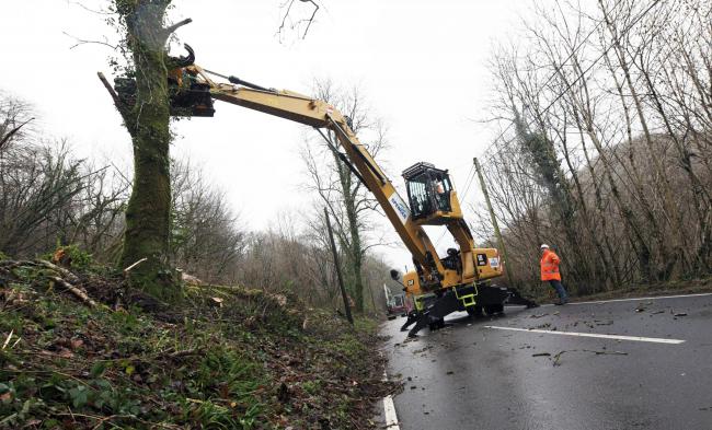 Carmarthenshire County Council has had to bring in specialist contractors to help with the removal of over 60 large trees damaged during the storm on November 27.