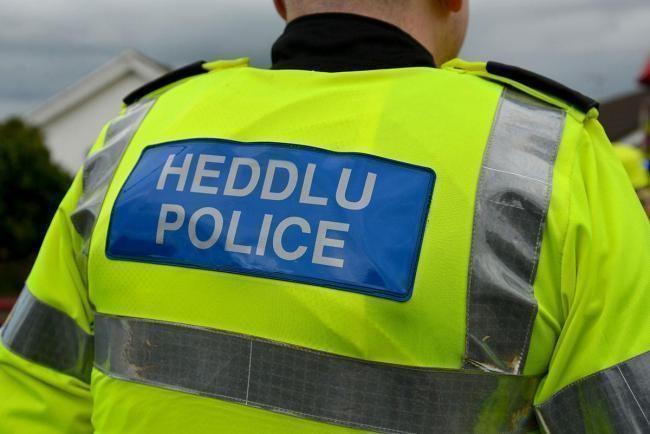 A woman has been arrested on suspicion of being in charge of a dog dangerously out of control following the death of a man in Lampeter.