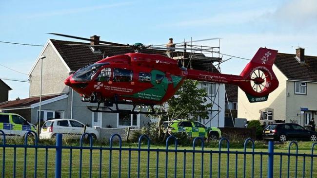 Mrs Walton was airlifted to Morriston Hospital following the attack by the family dog