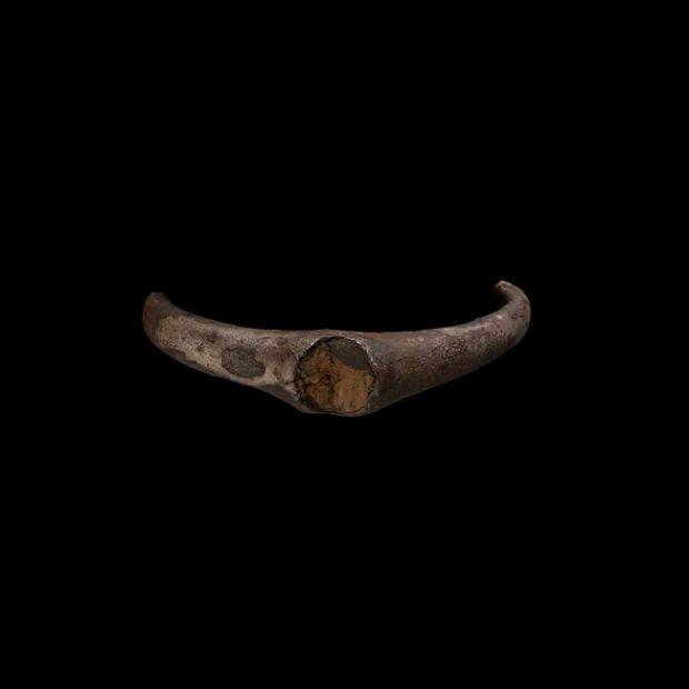 Tivyside Advertiser: The fragment of silver ring found near Llawhaden. Picture: National Museum of Wales