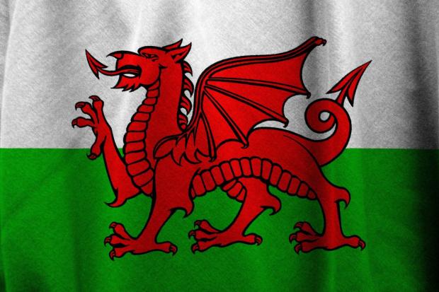 The MS calls for St David's Day to be a bank holiday