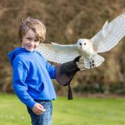 The British Bird of Prey Centre from Carmarthenshire was named Best Rural Tourism Business at the Wales and Northern Ireland regional finals of the Rural Business Awards