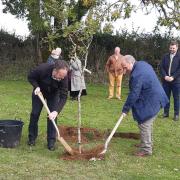 A number of oak tree sapplings were planted in the same paddock - the first being planted alongside Mercury's burial by Huw Murphy and Retired Riding Master Mark Avison who purchased Mercury from the farm 13 years earlier.