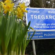 Tregaron will be hosting the National Eisteddfod of Wales later this year.