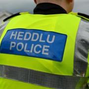 Elin Camden was said to have assaulted PCSO Rees and Pc Williams during an incident at Maenychlogdau, Ceredigion and Pembrokeshire magistrates heard.