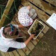The Teifi Marshes Nature Reserve and Welsh Wildlife Centre are planning a host of exciting activities for the upcoming school holidays.