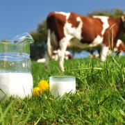 The FUW say milk has a bounty of nutritious benefits.