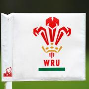 A general view of a corner flag featuring the Welsh Rugby Union logo