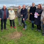 Ben Lake MP joins members of staff from National Trust Cymru to plant a blossom tree at Aberporth community garden.