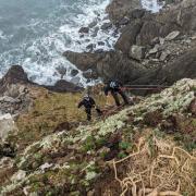 A specialist rope team was assembled to carry out a demanding rescue of the sheep.