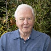 David Attenborough was kept away from fledging chicks during filming for his new series which is due to air on Saturday, March 12
