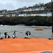 New Quay RNLI during the rescue of the dog near the cliffs. Picture: RNLI