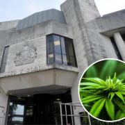 A man has been sentenced at Swansea Crown Court for conspiring to supply cannabis.