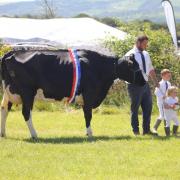 The 2022 Supreme Dairy winner with the Griffiths family. Picture: Zoe Middleton