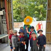 Ysgol Gynradd Aberteifi pupils enjoyed a visit to Pembrokeshire Sunflowers