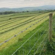It's that time of year where farmers are getting the silage in. Many took advantage of the weekend's warm weather as evident in this picture of fields  looking towards Crymych from the Freni Fawr.