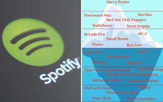 Icebergify is the latest tool which Spotify users can utilise to analyse their music taste (Credit: Screenshot/Icebergify/PA)